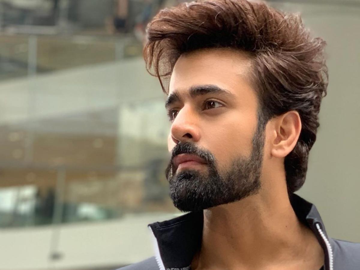  Pearl V Puri   Height, Weight, Age, Stats, Wiki and More